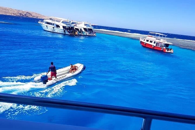 Get up Close to Dolphins on This Fantastic 9-Hour Snorkel Trip From Hurghada - Inclusions and Additional Fees