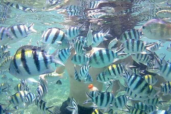 Gili Asahan Snorkeling Tour - Inclusions