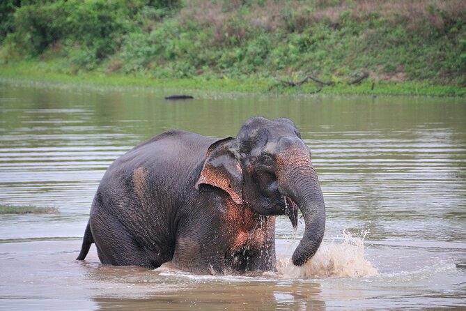 Glamping & Safari - Wilpattu National Park - Details of Activity