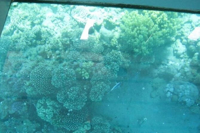 Glass Bottom Boat In Sharm El Sheikh - Transportation Details