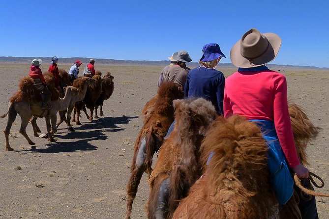 Gobi Tour May 2019 02-07 June