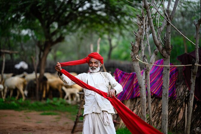 Golden Triangle Tour With Overnight at Rajasthani Village - Accommodation Details