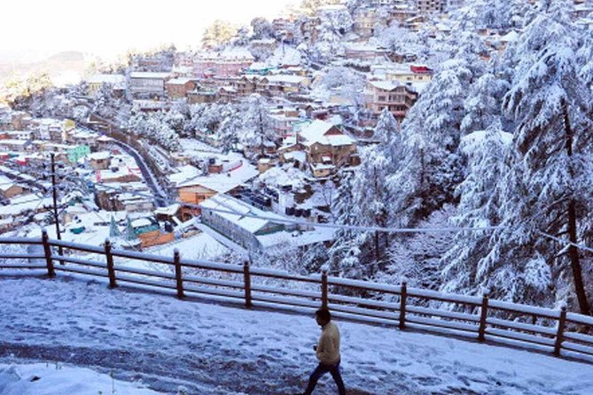 Golden Triangle Tour With Rajasthan 7 Nights 8 Days Tour - Inclusions and Exclusions