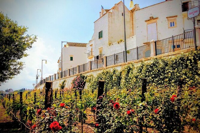 GPS Self Guide Locorotondo+Alberobello + Tasting in the Vineyard - End Point