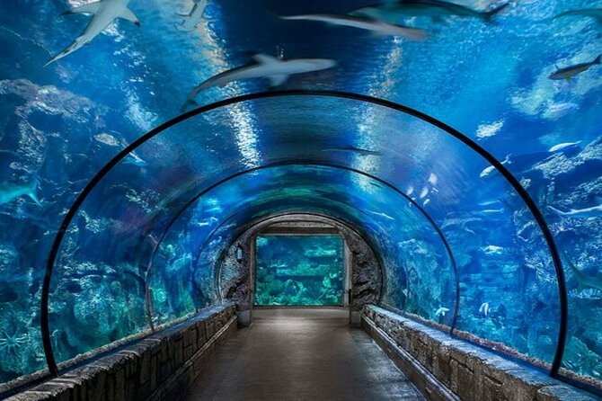 Grand Aquarium With Transfer From Hurghada - Tour Inclusions