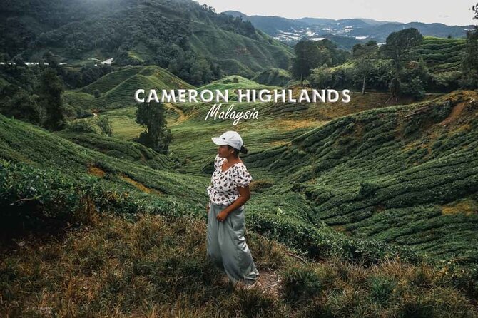 Group Tour Cameron Highland Day From Kuala Lumpur - Tour Inclusions and Details