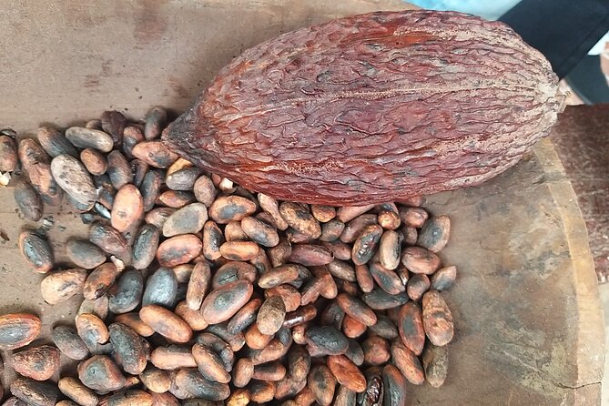 Guatemala Chocolate & Coffee Tour Sacatepéquez Community Tourism - Meeting and Pickup Details