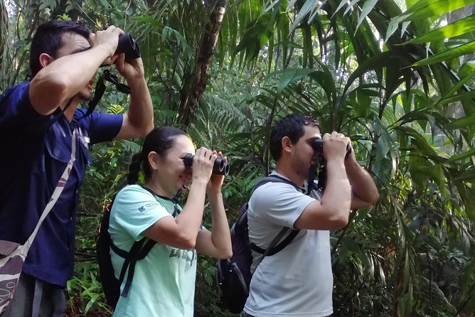 Guided Activities - Inclusions and Exclusions