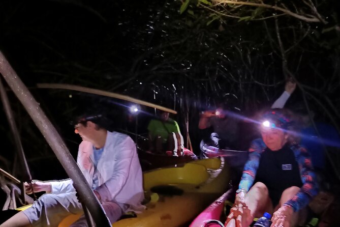 Guided Bioluminescence Night Kayaking Adventure in Belize - Whats Included
