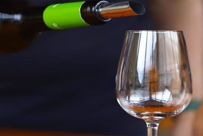 Guided Toboggan Ride and Madeira Wine Tasting Tour - Tour Inclusions