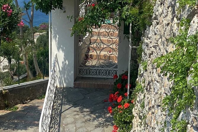 Guided Tour of Capri, Hydrofoil and Bus Included for Small Groups - Meeting Point and Start Time