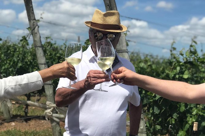 Guided Tour of Vineyards - Schedule Information