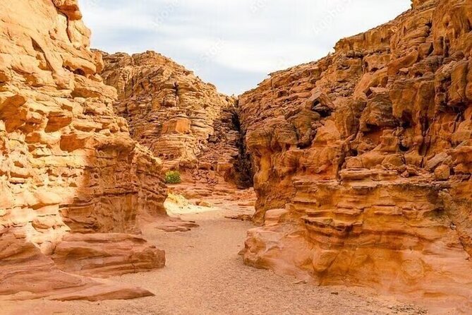 Guided Tour to the 3 Pools, Salama Canyon Jeep Safari and Dahab - Tour Highlights