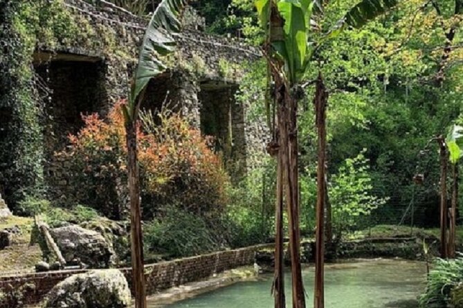 Guided Visit to the Magical Waterfalls in the Candalla Forest - Tour Guide and Group Size
