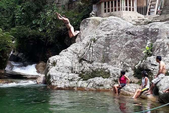 Had | Misahualli | Puyo | Two Days One Night Tour - Included Amenities