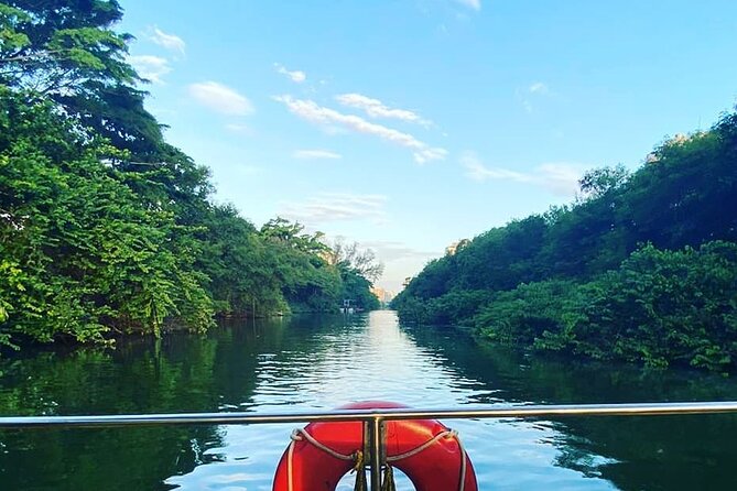 Half-Day Adventurous Boat Tour Tijuca Lagoon in Rio De Janeiro - Wildlife Spotting Opportunities