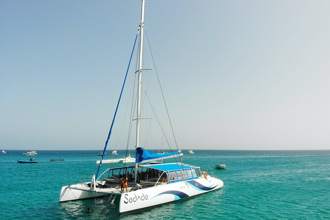 Half Day Catamaran Cruise Tour to Sal Island