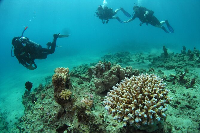 Half Day Diving Experience in Red Sea, Sharm El Sheikh - Inclusions