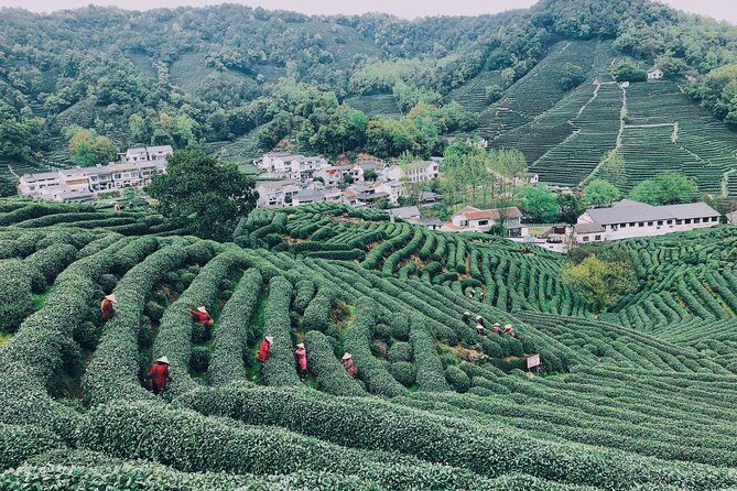Half-Day Hangzhou Jiuxi Stream and Tea Plantation Experience - Location and Inclusions