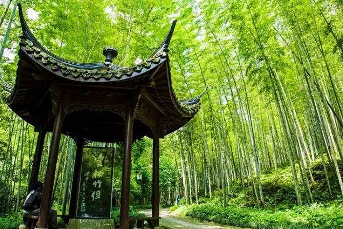 Half-Day Hangzhou Nature Explore With Green Tea Village and Yunxi Bamboo Forest - Green Tea Village Visit