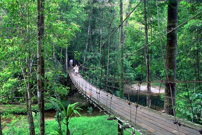 Half-Day Lambir Hills National Park Tour From Miri - Tour Overview
