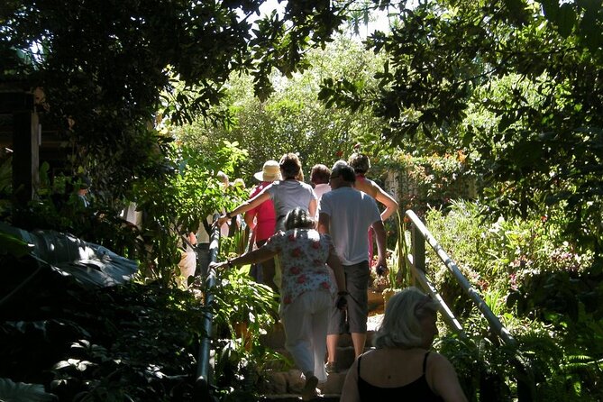 Half Day Macadamia and Coffee Tour From Quetzal Port - Pickup Information