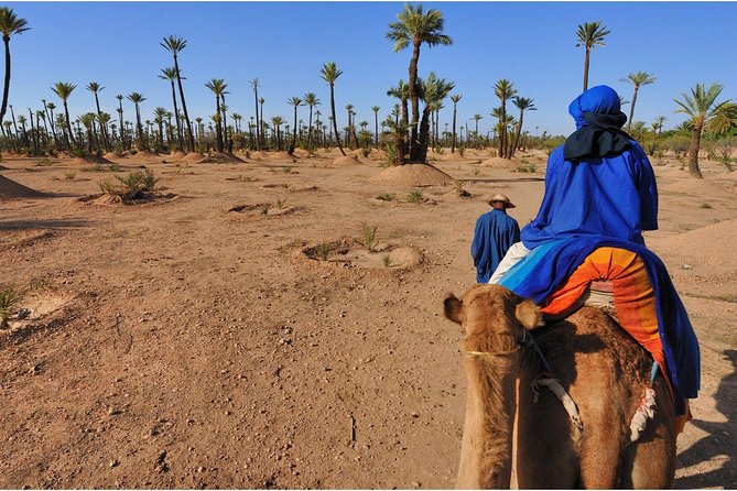 Half-Day Marrakech Palmeraie Adventure With Camel Ride - Pickup and Accessibility Details
