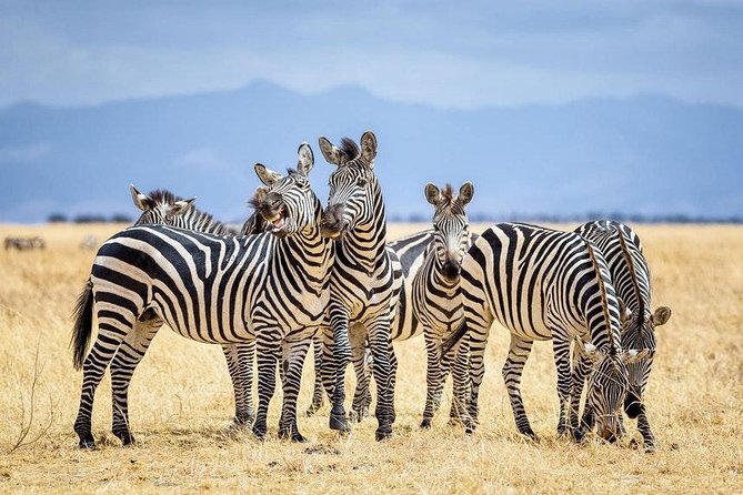 Half Day Nairobi National Park Tour From Nairobi - Inclusions and Additional Costs