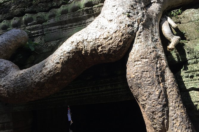 Half Day Private Tour: Tomb Raider & Banteay Kdei Temple