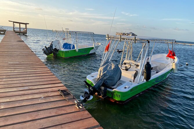 Half Day Roatan Reef Snorkeling Trip - Transportation Options