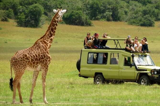 Half Day Safari - Tala Game Reserve and Natal Lion Park Fr Durban - Location Details