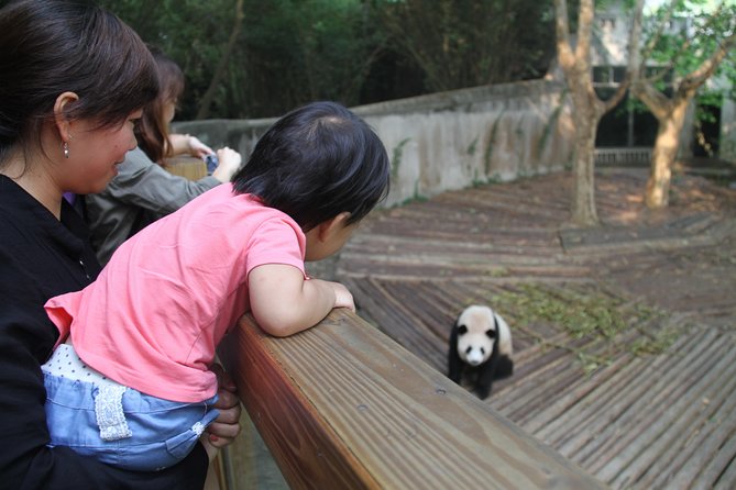 Half-Day Self-Guided Chengdu Panda Research Base Tour - Booking Details