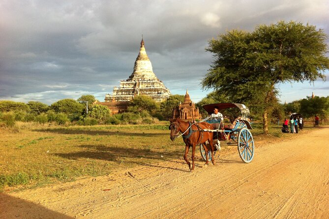 Half Day Sightseeing With Royal Horse