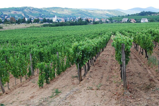Half Day Tokaj Wine Tasting Tour in Mád Hungary With Lunch - Age and Alcohol Policy