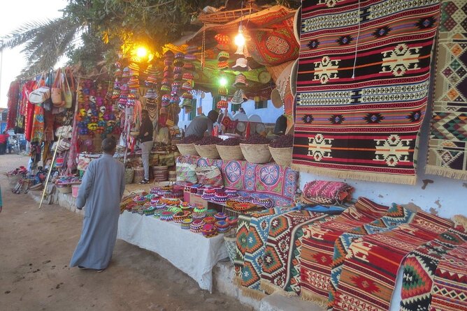 Half-Day Tour in Aswan and Nubian Village - Itinerary Overview