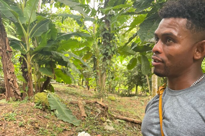 Half-Day Tour of Family Owned Farm in Puerto Viejo Area - Farm Experience Details