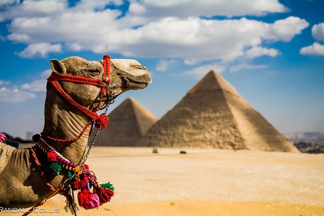 Half Day Tour To Giza Pyramids and Sphinx - Meeting and Pickup Details