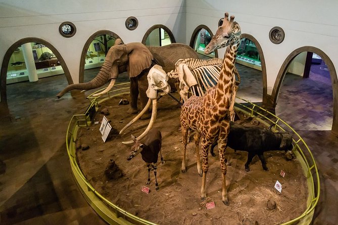 Half Day Tour to Nairobi National Museum & Snake Park - Group Size and Inclusions