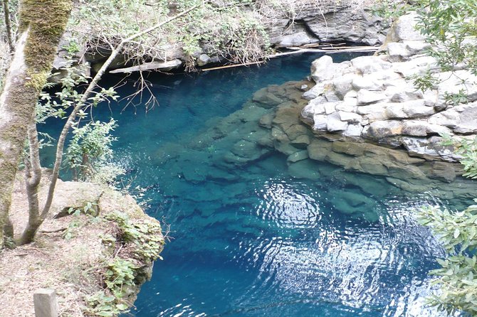 Half Day Tour to the Eyes of Caburgua From Pucon - What to Expect