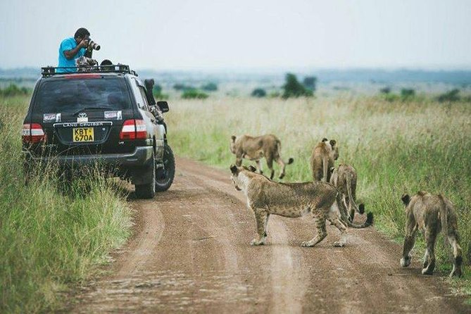 Half Day Tours/Nairobi NATIONAL Park/Elephant & GIRAFFE CENTRE - Park Entry and Activities