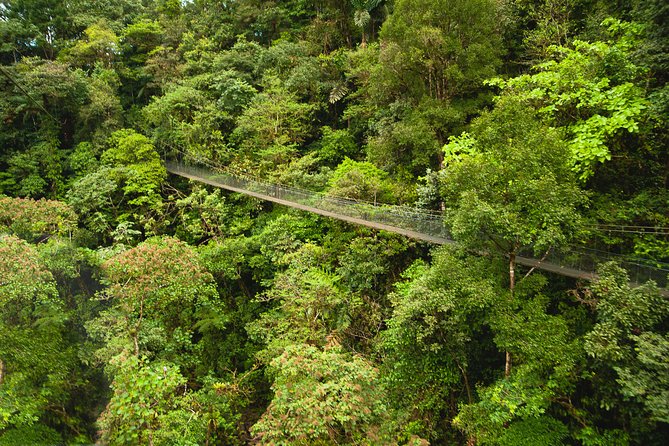 Hanging Bridges Adventure San Luis From San Jose - Suspension Bridges Exploration
