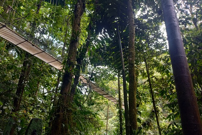 Hanging Bridges Walk in Costa Rica - Activity Details and Requirements