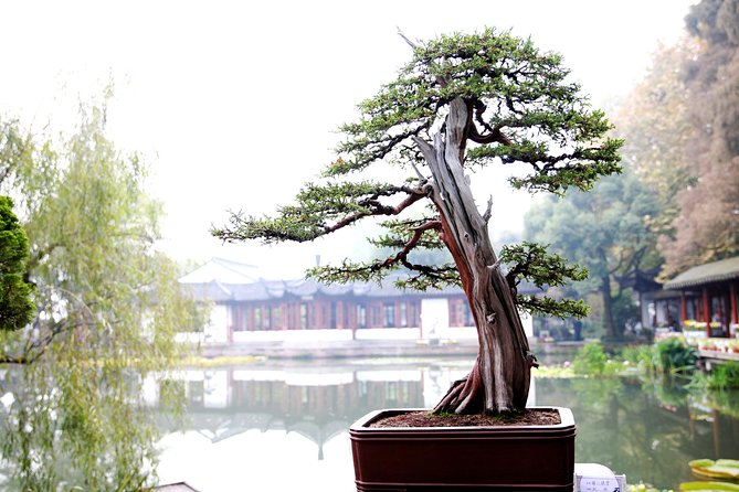 Hangzhou City Tour With Alibaba Visiting From Shanghai by Bullet Train - Itinerary Overview
