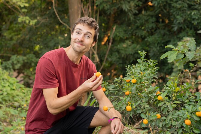 Hanoi Cooking Class in a Haven of Tranquility - Thom Culinary - Cooking Class Details