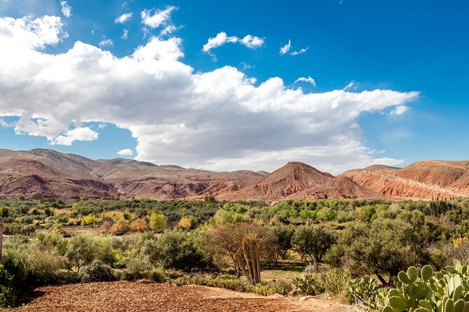 High Atlas Flavours 4x4 Tour With Lunch - Inclusions and Exclusions