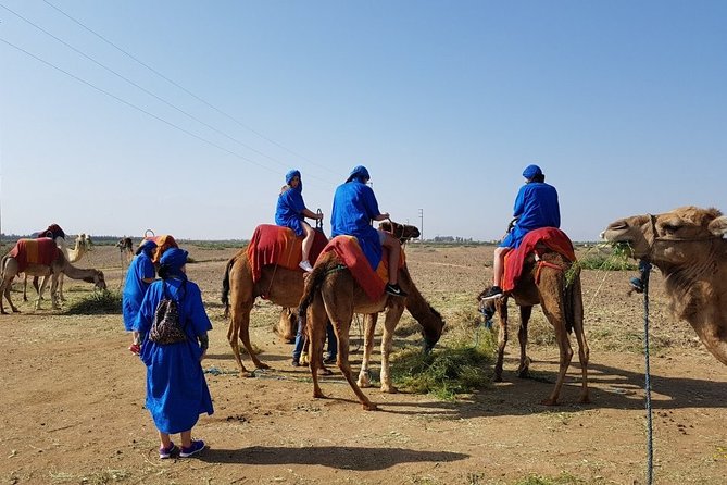 High Atlas Mountains and Three Valleys & Waterfalls Full Day Trip From Marrakech - Trip Overview