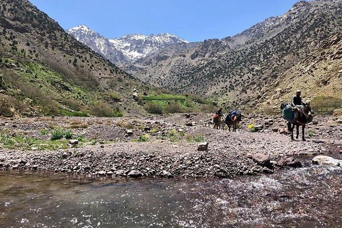 High Atlas Mountains Day Trip From Marrakech - Tour Inclusions