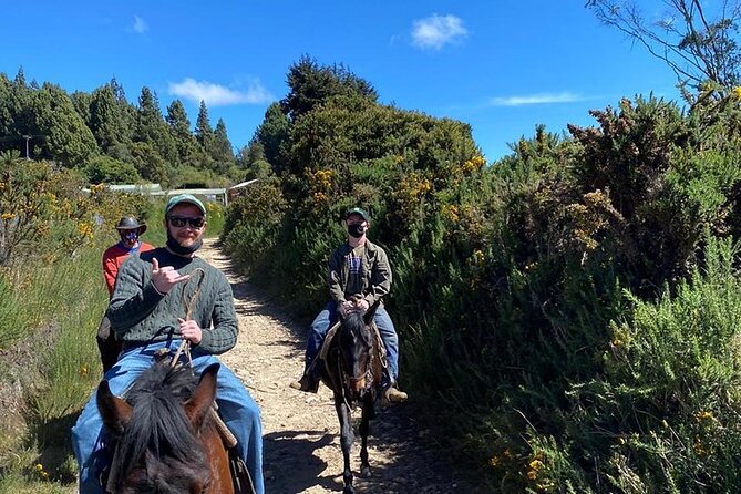 Highlands Horseback Riding in Bogotá - Inclusions of the Experience