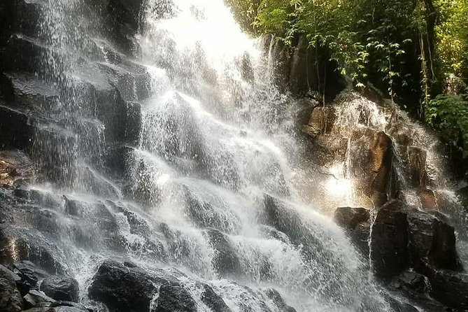 Highlight Ubud Waterfalls - Inclusions