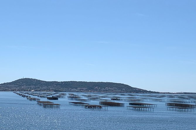 Highlights of Sète: History, Food and Wine Experience - Visit to Valmagne Abbey